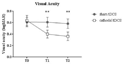 Unilateral Application of Cathodal tDCS Reduces Transcallosal Inhibition and Improves Visual Acuity in Amblyopic Patients